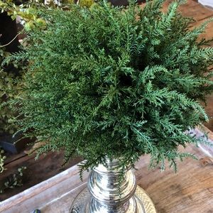 Great greenery piece